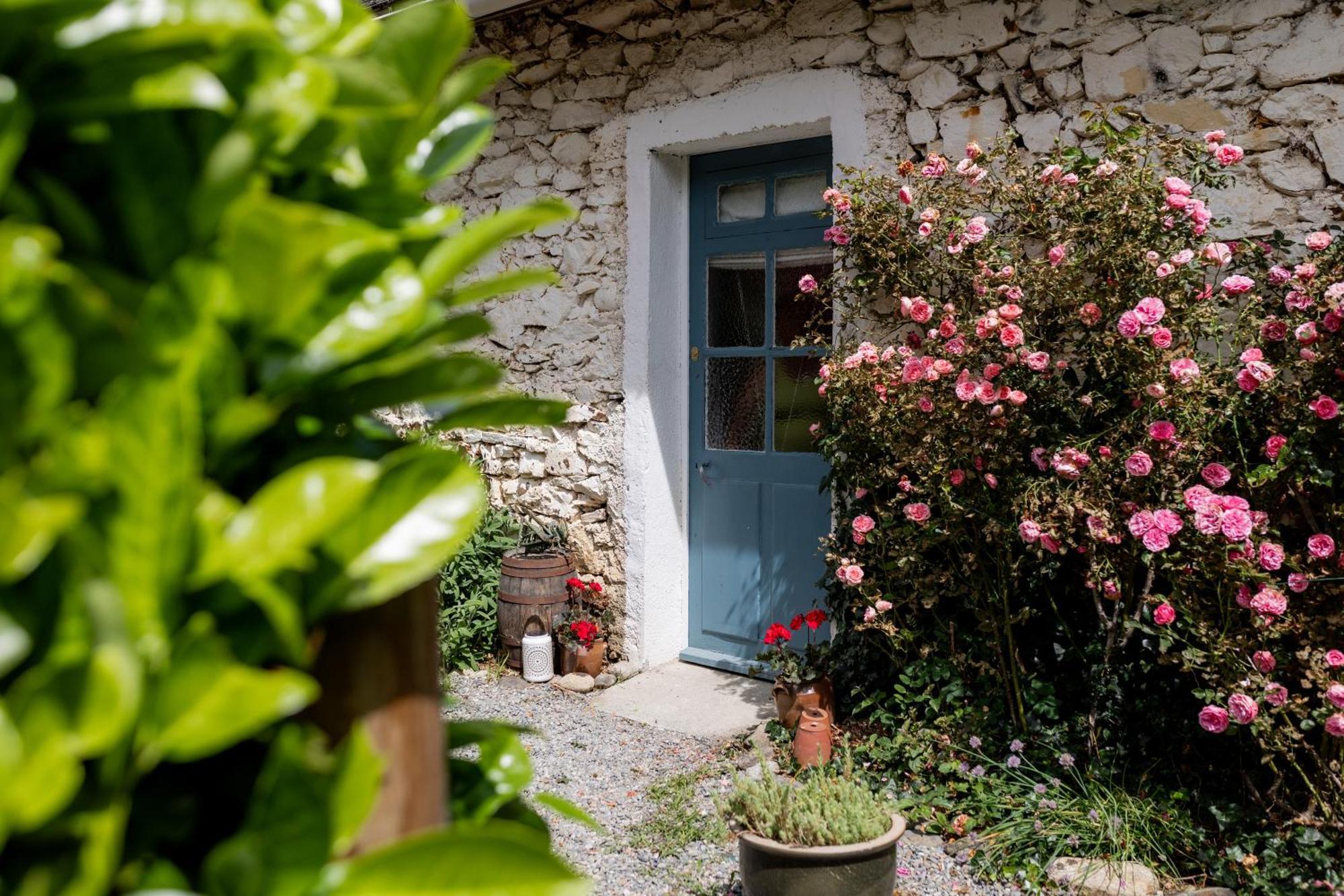 Gites Libellule Aleu Extérieur photo