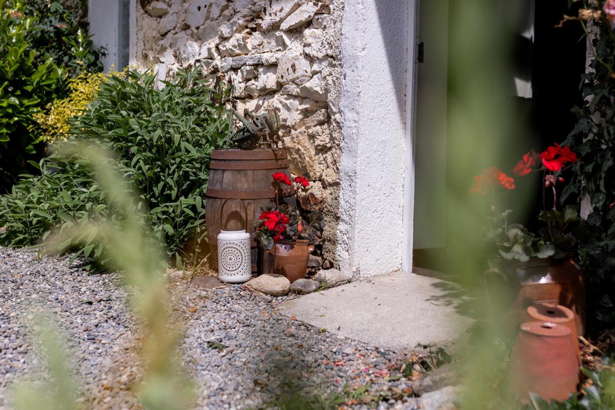 Gites Libellule Aleu Extérieur photo